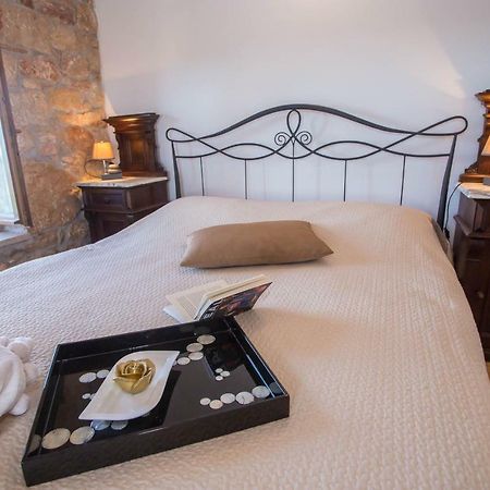 Nona Nina Apartment Vižinada Екстериор снимка