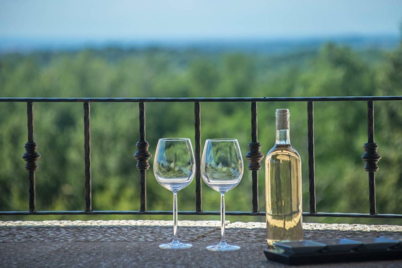 Nona Nina Apartment Vižinada Екстериор снимка
