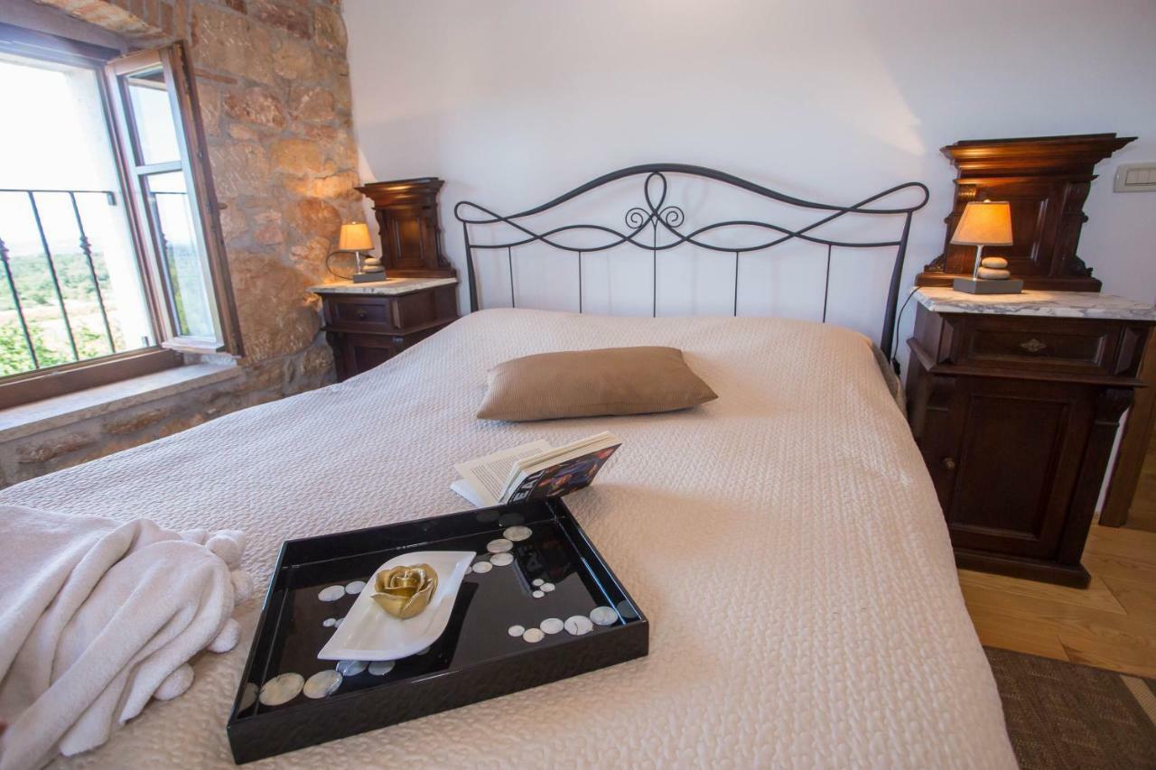 Nona Nina Apartment Vižinada Екстериор снимка
